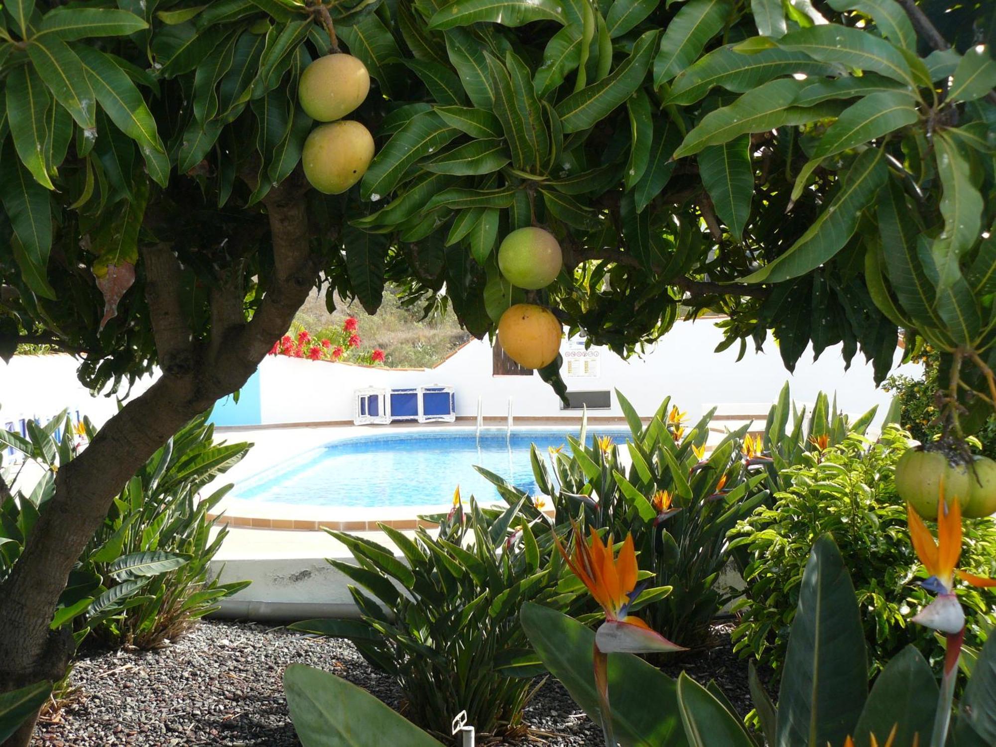 Casitas Rosheli Apartment Los Llanos De Aridane Exterior photo