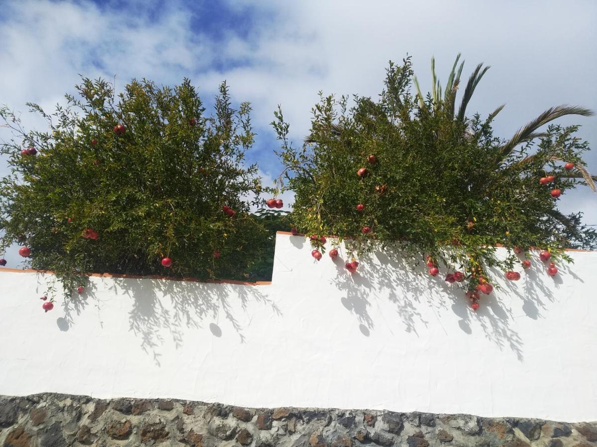 Casitas Rosheli Apartment Los Llanos De Aridane Exterior photo